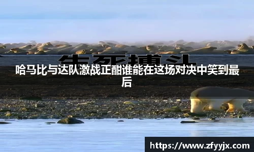 英国正版365官方网站